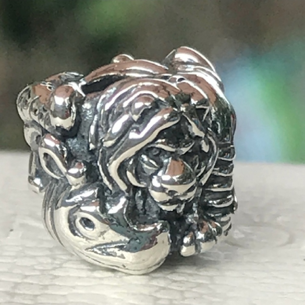 **Retired** Pandora Charm "Safari"